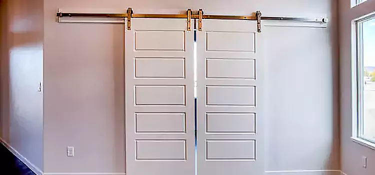 Glass Barn Door with Installation Hardware Kit Burlingame